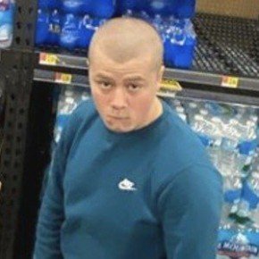 Bricknermon