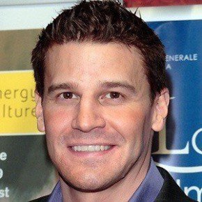 David Boreanaz