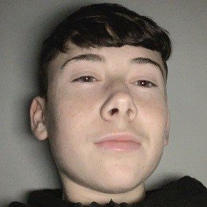 Dom Wood