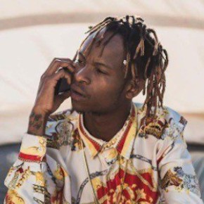 Gemini Major