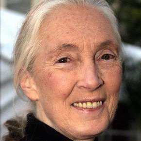 Jane Goodall