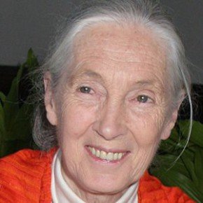 Jane Goodall