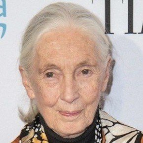 Jane Goodall
