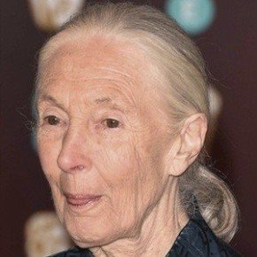 Jane Goodall