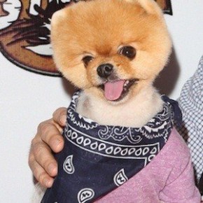 JiffPom