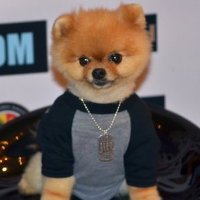 JiffPom