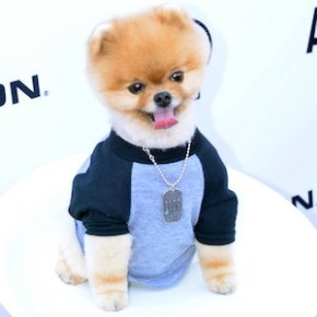 JiffPom