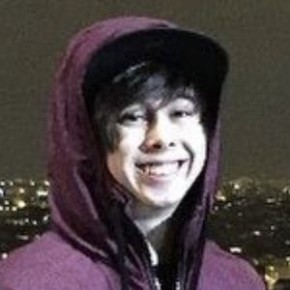 LeafyIsHere