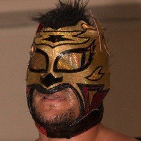 Lince Dorado