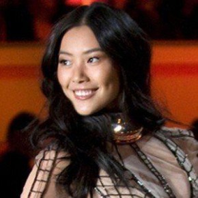 Liu Wen
