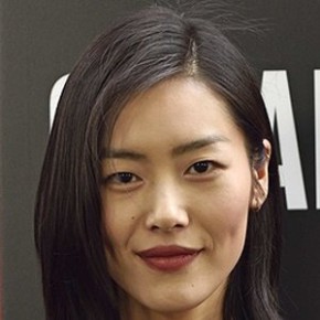Liu Wen