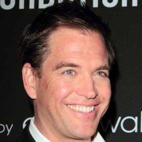 Michael Weatherly