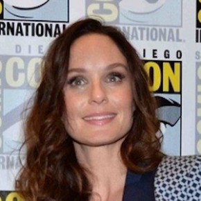 Sarah Wayne Callies