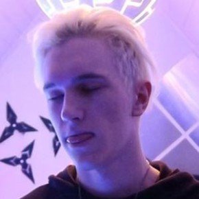 Snipzy