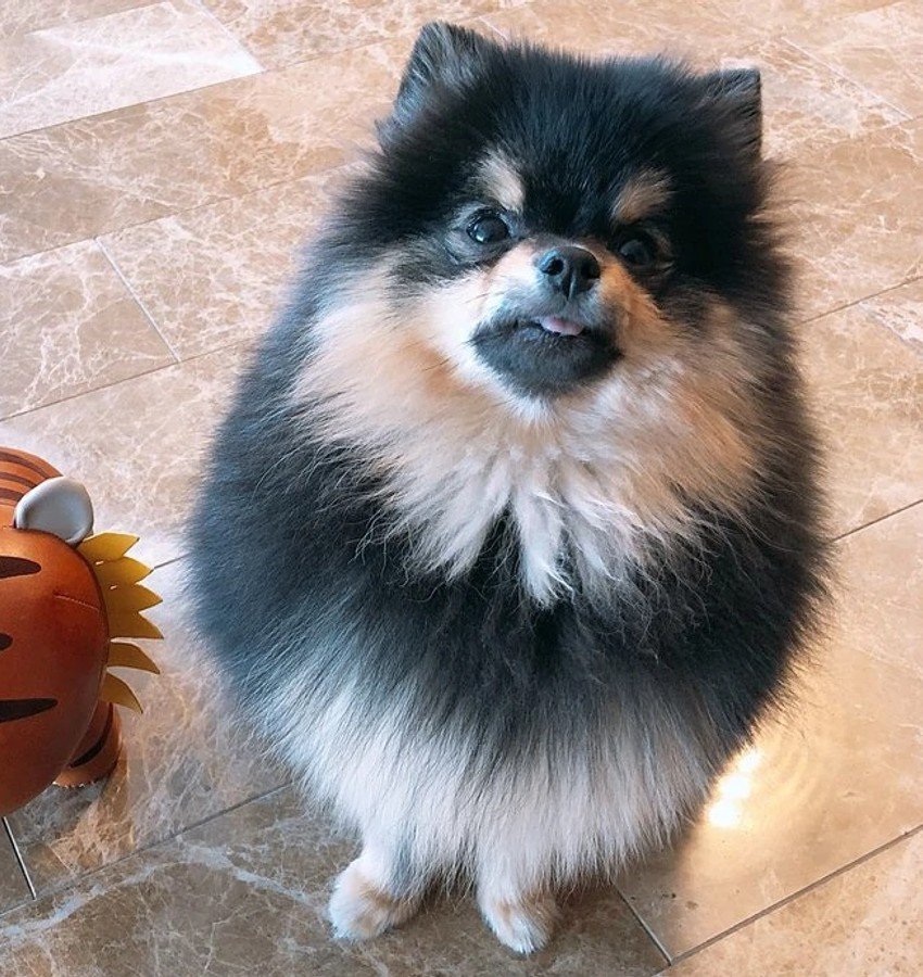 Yeontan