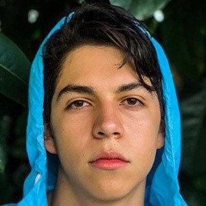 Robin Vega